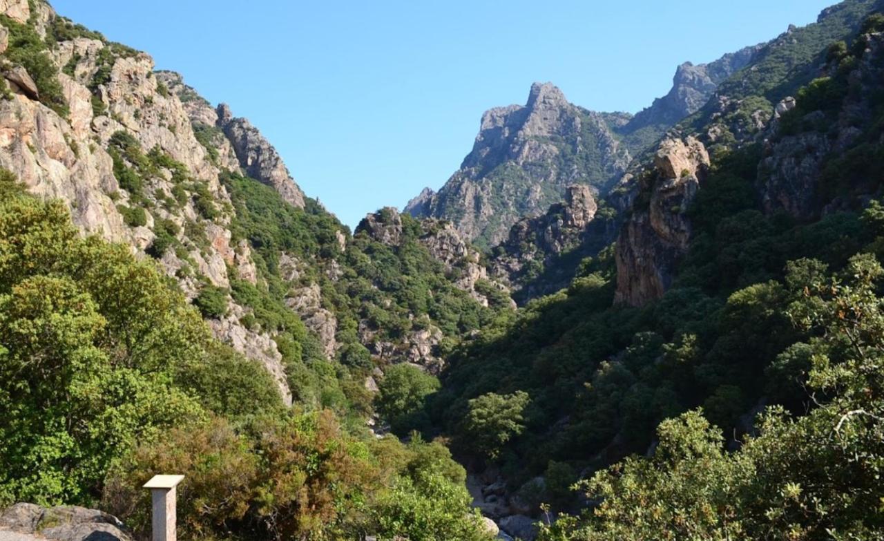 Residence Du Soleil بزييه المظهر الخارجي الصورة